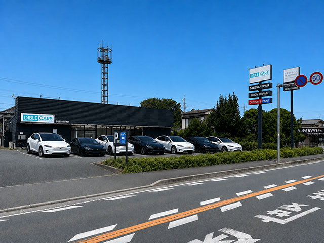 DIBLE JAPAN